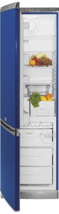 larawan Refrigerator Hotpoint-Ariston ERFV 402X BL, pagsusuri