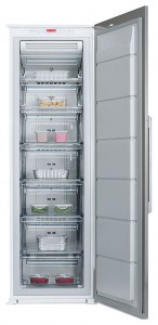 larawan Refrigerator Electrolux EUP 23900 X, pagsusuri