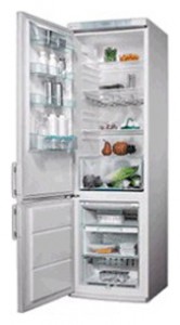 larawan Refrigerator Electrolux ENB 3599 X, pagsusuri