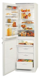 Фото Холодильник ATLANT МХМ 1805-34, обзор