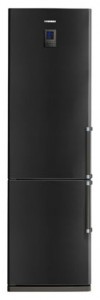 larawan Refrigerator Samsung RL-41 ECTB, pagsusuri