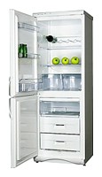 larawan Refrigerator Snaige RF310-1T03A, pagsusuri