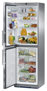 larawan Refrigerator Liebherr CNes 3666, pagsusuri