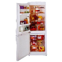 larawan Refrigerator Daewoo Electronics ERF-370 M, pagsusuri