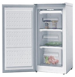 фото Холодильник Wellton GF-80, огляд