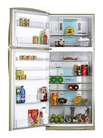 фото Холодильник Toshiba GR-H74TR MC, огляд