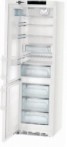 Liebherr CNP 4858 Refrigerator  pagsusuri bestseller