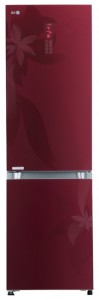 larawan Refrigerator LG GA-B489 TGRF, pagsusuri