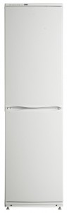 larawan Refrigerator ATLANT ХМ 6025-031, pagsusuri