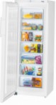 Liebherr GP 2733 Refrigerator aparador ng freezer pagsusuri bestseller