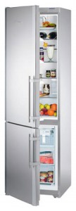 larawan Refrigerator Liebherr CNes 4023, pagsusuri