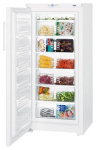 larawan Refrigerator Liebherr G 3013, pagsusuri