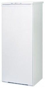 larawan Refrigerator NORD EF 210-010, pagsusuri