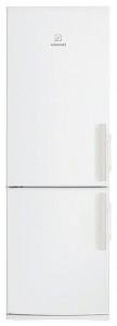 larawan Refrigerator Electrolux EN 4000 ADW, pagsusuri