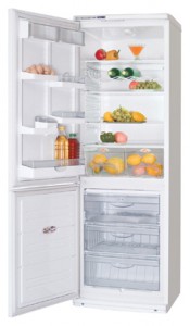 larawan Refrigerator ATLANT ХМ 5091-016, pagsusuri
