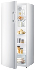larawan Refrigerator Gorenje R 6151 BW, pagsusuri