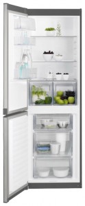 larawan Refrigerator Electrolux EN 13601 JX, pagsusuri