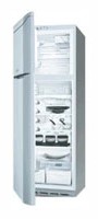 larawan Refrigerator Hotpoint-Ariston MTB 4559 NF, pagsusuri