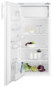 Photo Fridge Electrolux ERF 1904 FOW, review