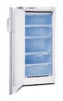 larawan Refrigerator Bosch GSE22421, pagsusuri