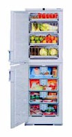 larawan Refrigerator Liebherr BGND 2986, pagsusuri