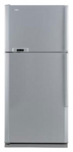 фото Холодильник Samsung RT-58 EAMT, огляд