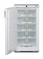 larawan Refrigerator Liebherr GSS 2226, pagsusuri