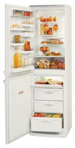 фото Холодильник ATLANT МХМ 1805-35, огляд