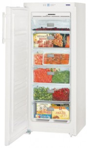 larawan Refrigerator Liebherr GNP 2303, pagsusuri
