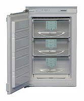 larawan Refrigerator Liebherr GI 1023, pagsusuri