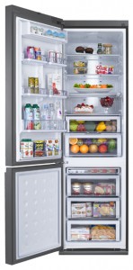 larawan Refrigerator Samsung RL-55 TTE2A1, pagsusuri