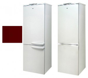 larawan Refrigerator Exqvisit 291-1-3005, pagsusuri