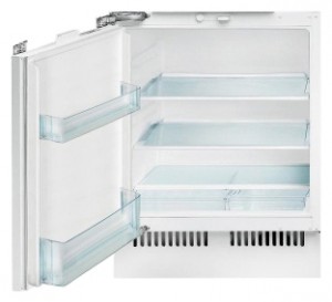 larawan Refrigerator Nardi AS 160 LG, pagsusuri