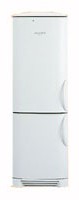 larawan Refrigerator Electrolux ENB 3669, pagsusuri