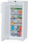 Liebherr GN 2156 Frigo freezer armadio recensione bestseller