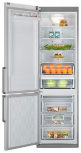 Kuva Jääkaappi Samsung RL-44 ECPW, arvostelu