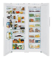 larawan Refrigerator Liebherr SBB 7252, pagsusuri