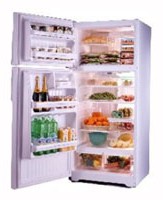 фото Холодильник General Electric GTG16HBMWW, огляд