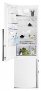 larawan Refrigerator Electrolux EN 3853 AOW, pagsusuri