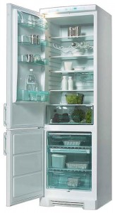 larawan Refrigerator Electrolux ERB 4109, pagsusuri
