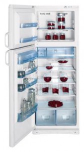 larawan Refrigerator Indesit TAN 5 FNF S, pagsusuri