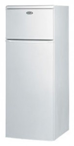 larawan Refrigerator Whirlpool ARC 2210, pagsusuri
