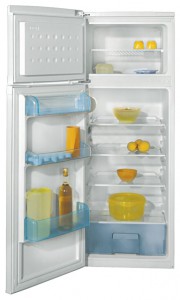 Kuva Jääkaappi BEKO DSK 25000, arvostelu