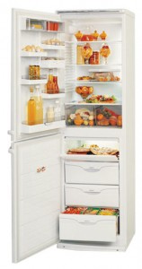 larawan Refrigerator ATLANT МХМ 1805-00, pagsusuri
