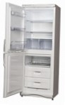 Snaige RF300-1101A Ledusskapis ledusskapis ar saldētavu pārskatīšana bestsellers