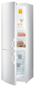 larawan Refrigerator Gorenje RK 61811 W, pagsusuri
