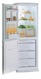 larawan Refrigerator LG GR-389 STQ, pagsusuri