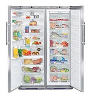 larawan Refrigerator Liebherr SBSes 7102, pagsusuri