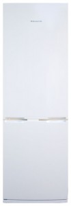 larawan Refrigerator Snaige RF31SH-S10001, pagsusuri