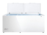 larawan Refrigerator Hisense FC-66DD4SA, pagsusuri